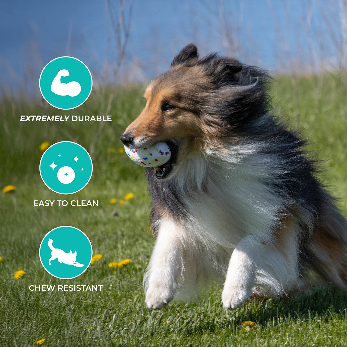 Shedrow K9 FlexiPlay Football