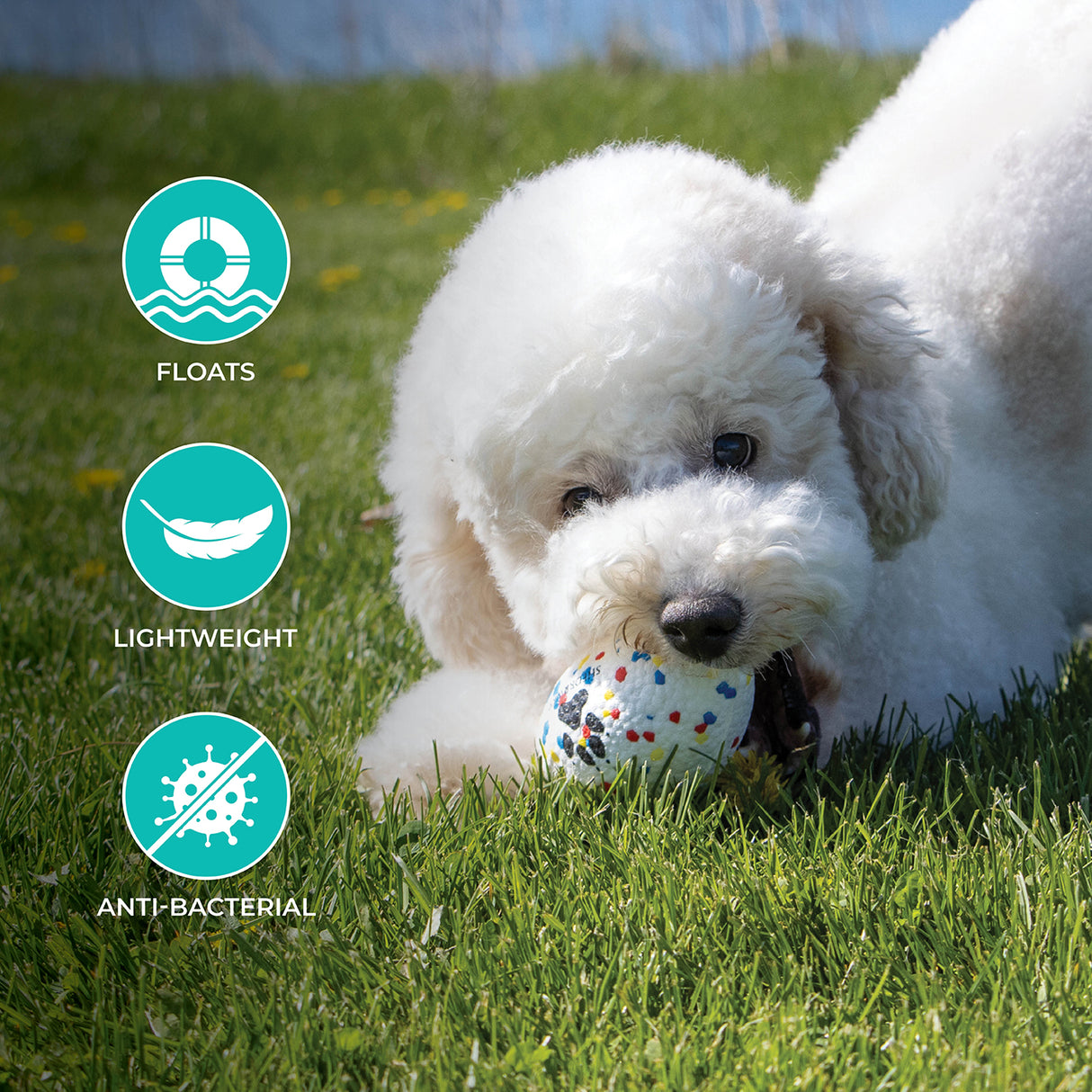 Shedrow K9 FlexiPlay Football