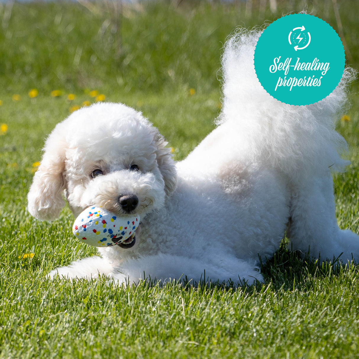 Shedrow K9 FlexiPlay Football