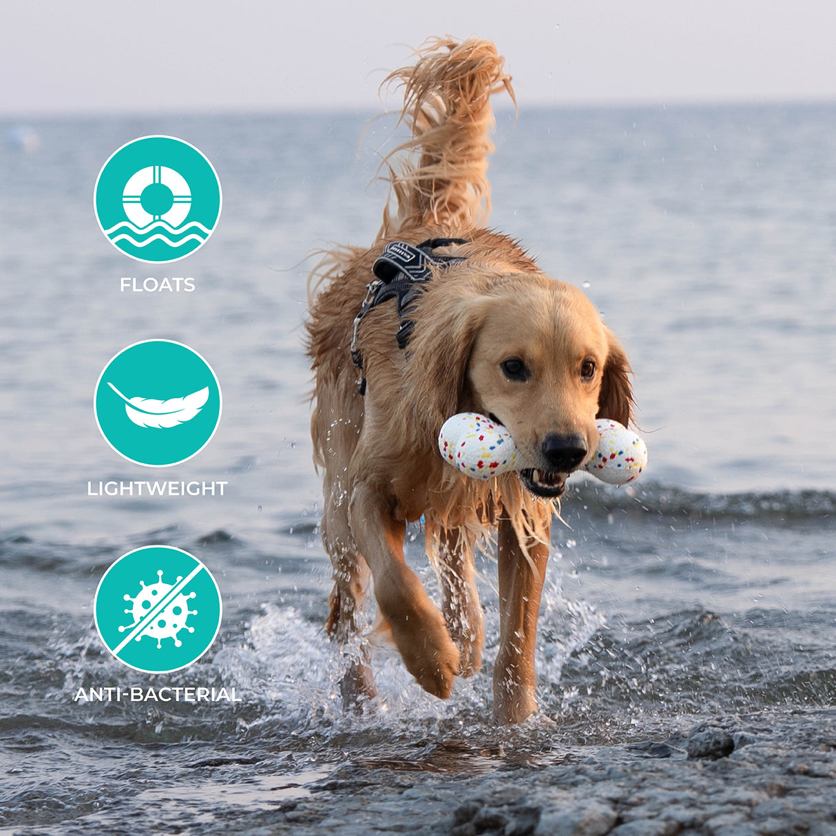 Shedrow K9 FlexiPlay Bone