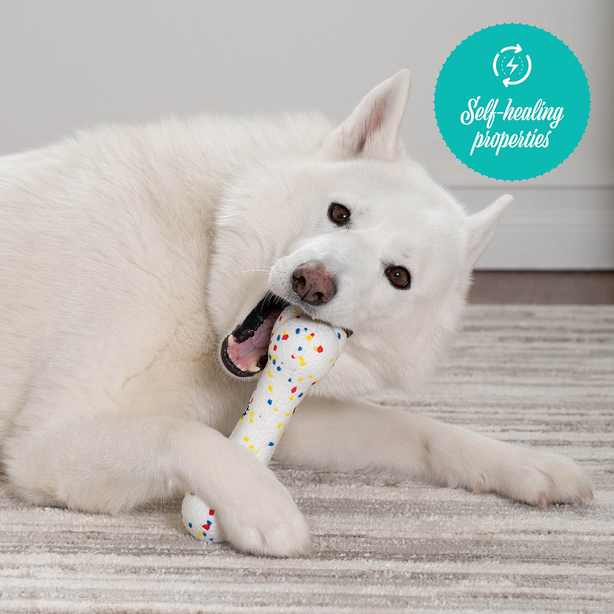 Shedrow K9 FlexiPlay Bone