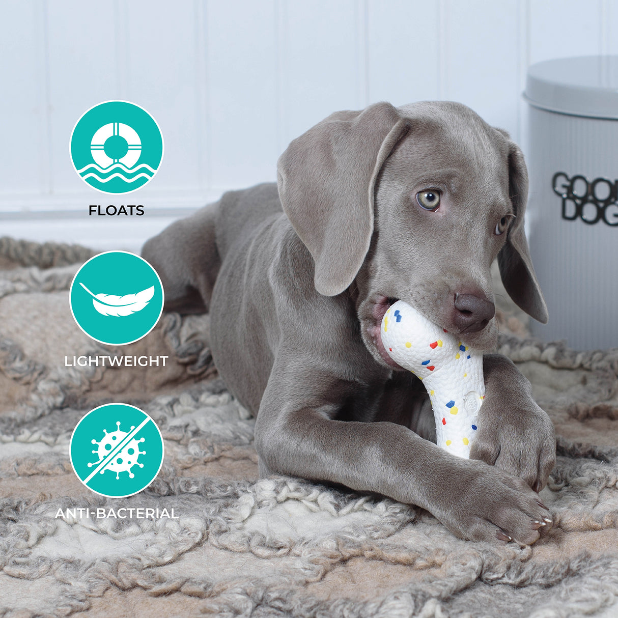 Shedrow K9 FlexiPlay Bone