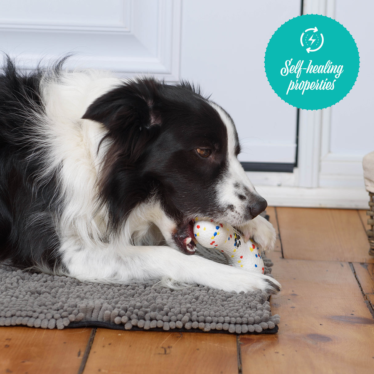 Shedrow K9 FlexiPlay Bone