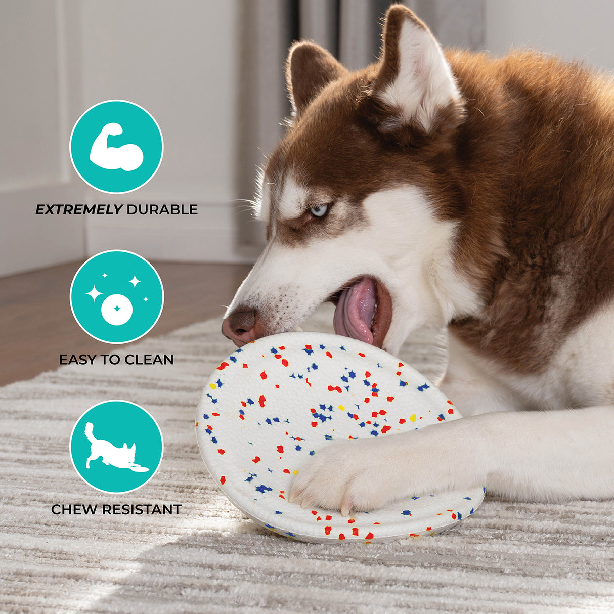 Shedrow K9 FlexiPlay Frisbee