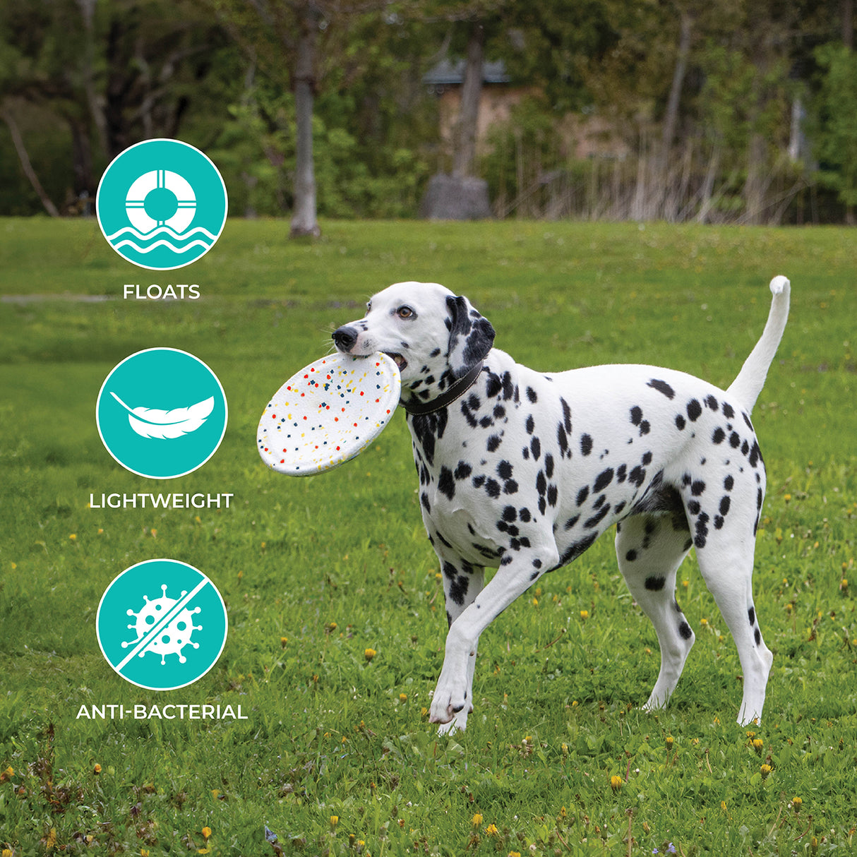 Shedrow K9 FlexiPlay Frisbee