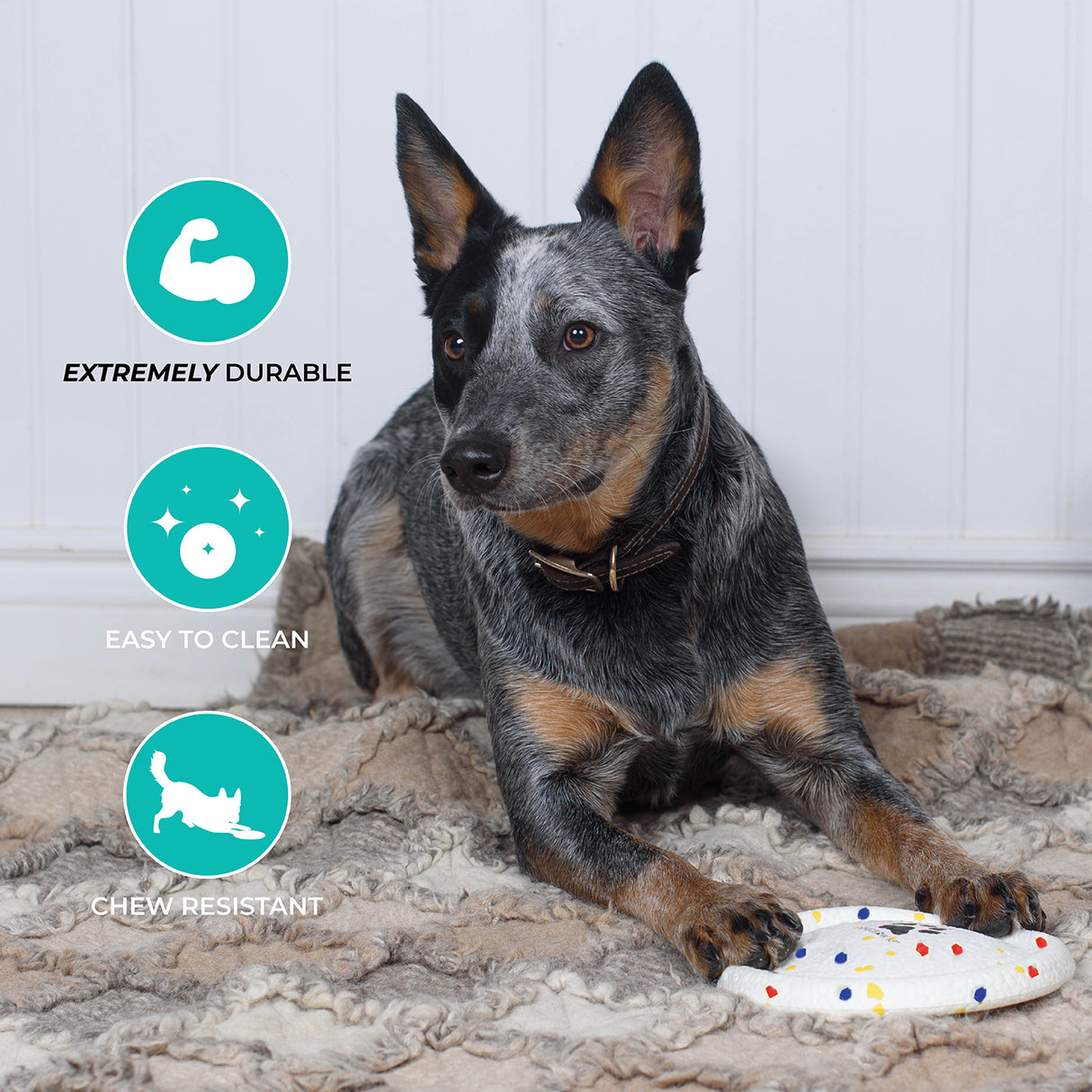 Shedrow K9 FlexiPlay Frisbee