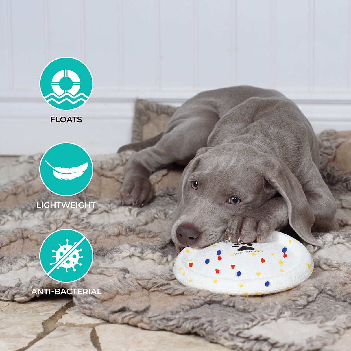 Shedrow K9 FlexiPlay Frisbee