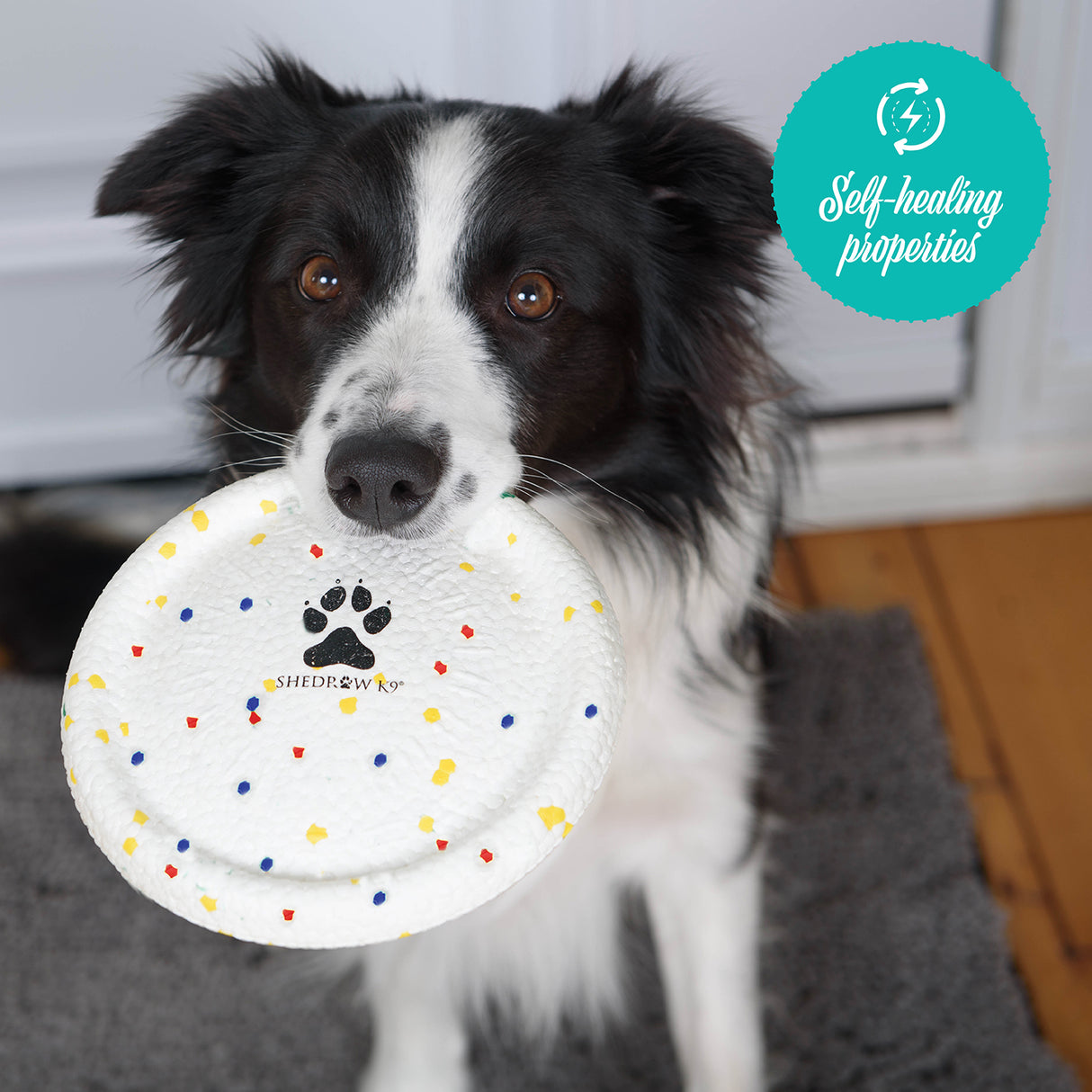 Shedrow K9 FlexiPlay Frisbee