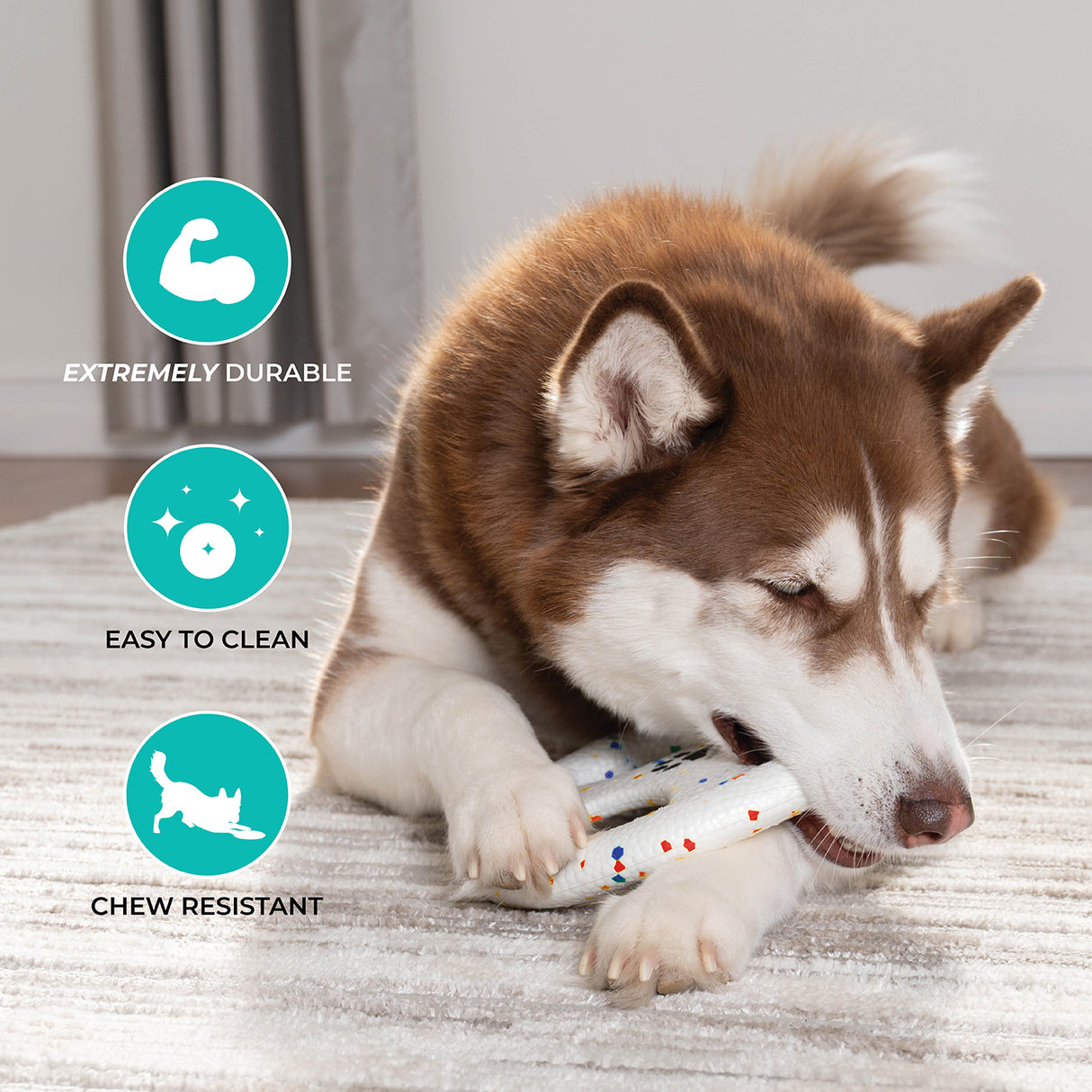 Shedrow K9 FlexiPlay Tug N' Toss Flyer