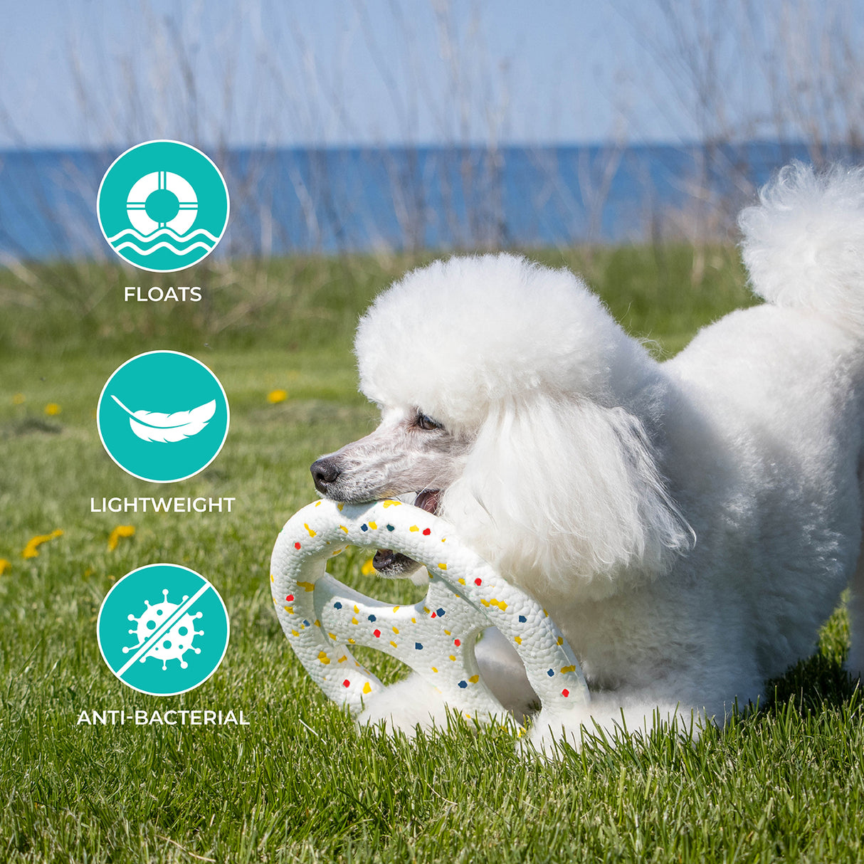 Shedrow K9 FlexiPlay Tug N' Toss Flyer