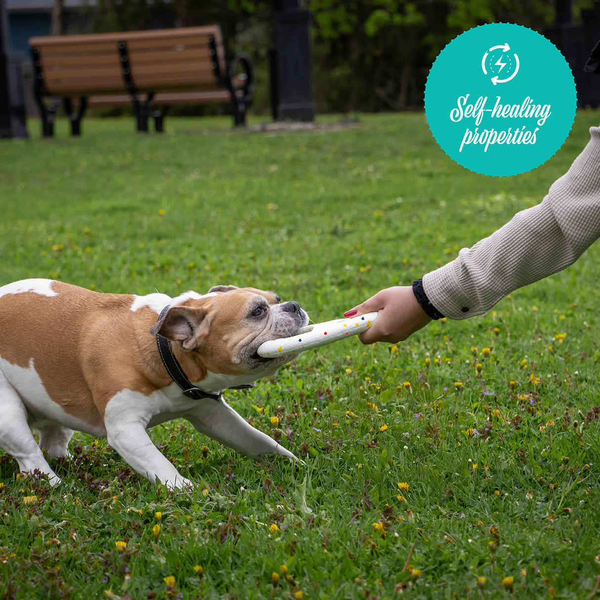 Shedrow K9 FlexiPlay Tug N' Toss Flyer