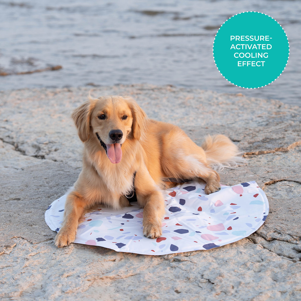 Shedrow K9 Cooling Mat