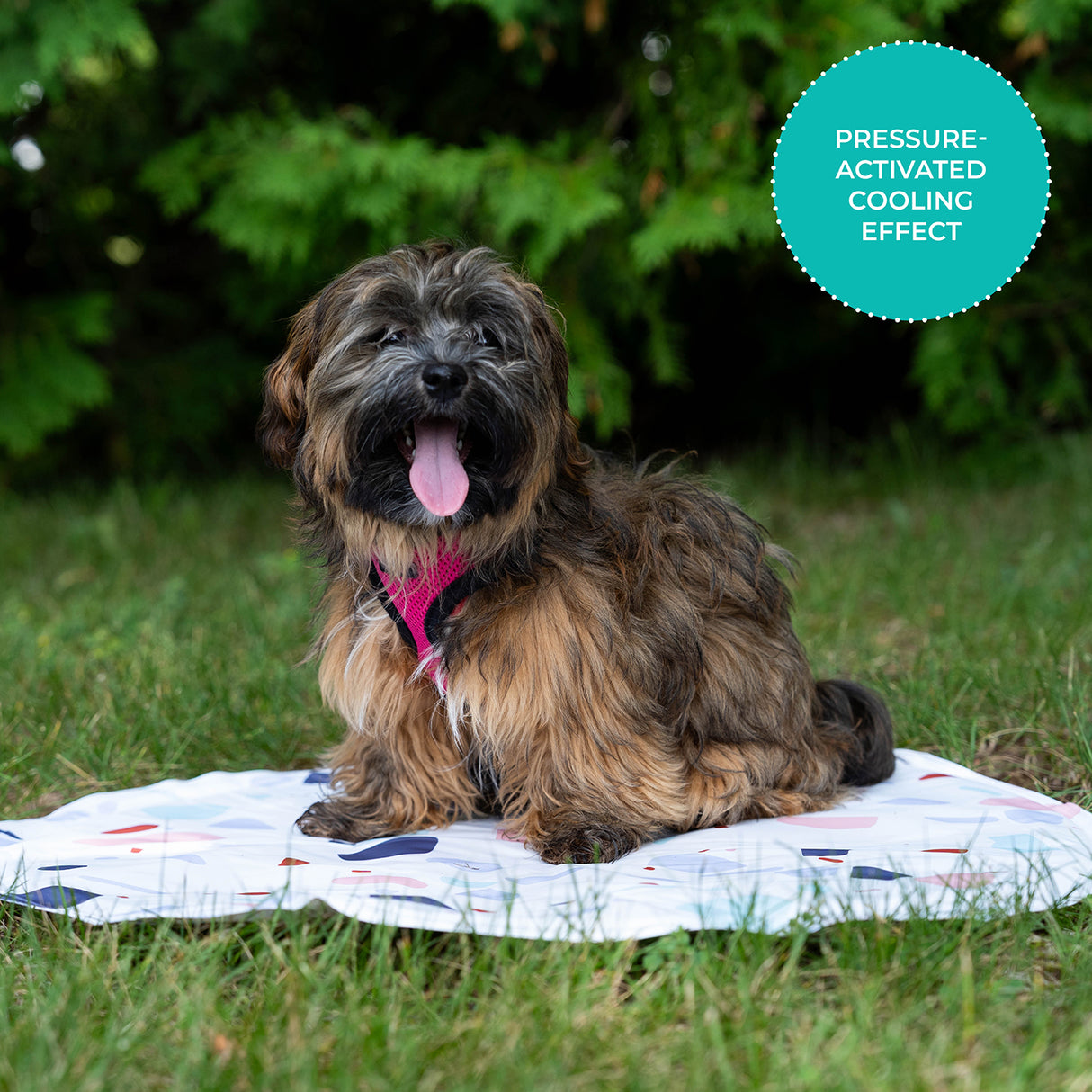 Shedrow K9 Cooling Mat