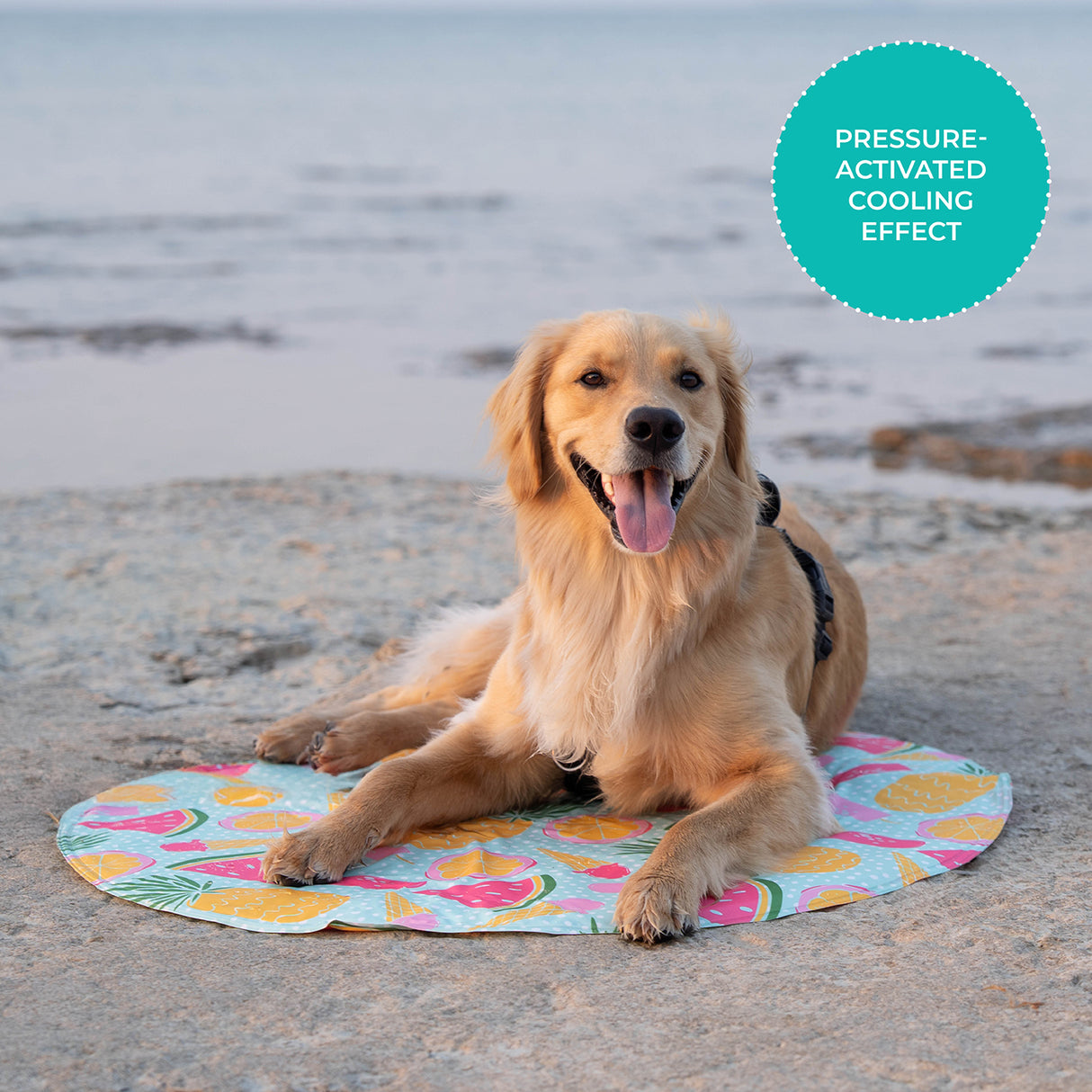 Shedrow K9 Cooling Mat