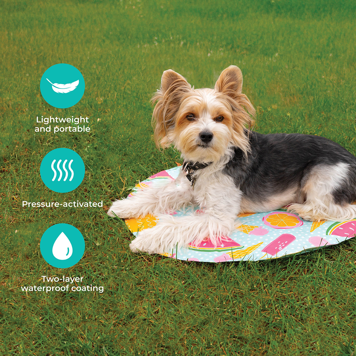 Shedrow K9 Cooling Mat