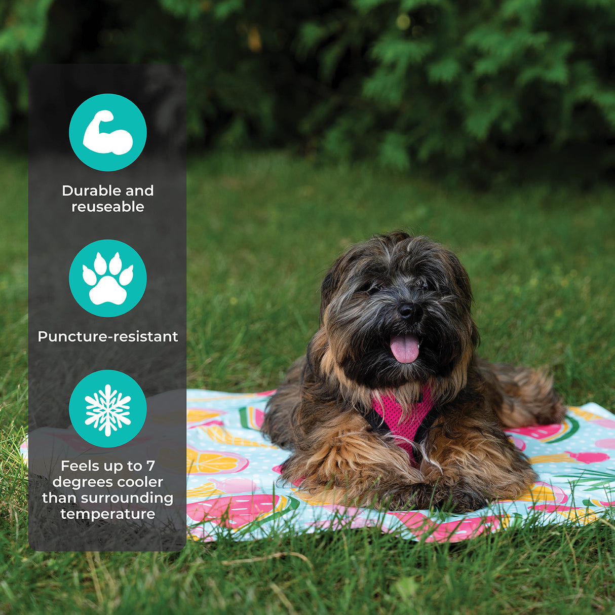 Shedrow K9 Cooling Mat