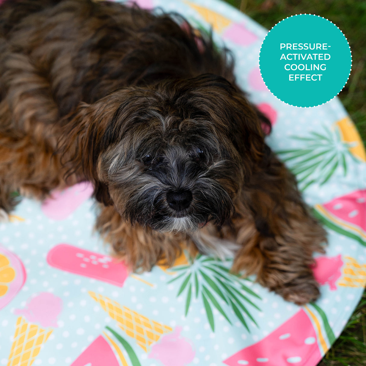 Shedrow K9 Cooling Mat