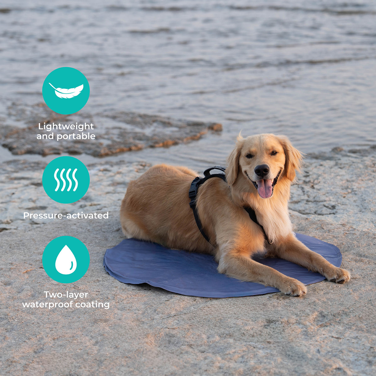 Shedrow K9 Cooling Mat