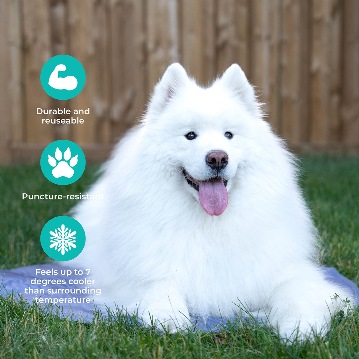 Shedrow K9 Cooling Mat