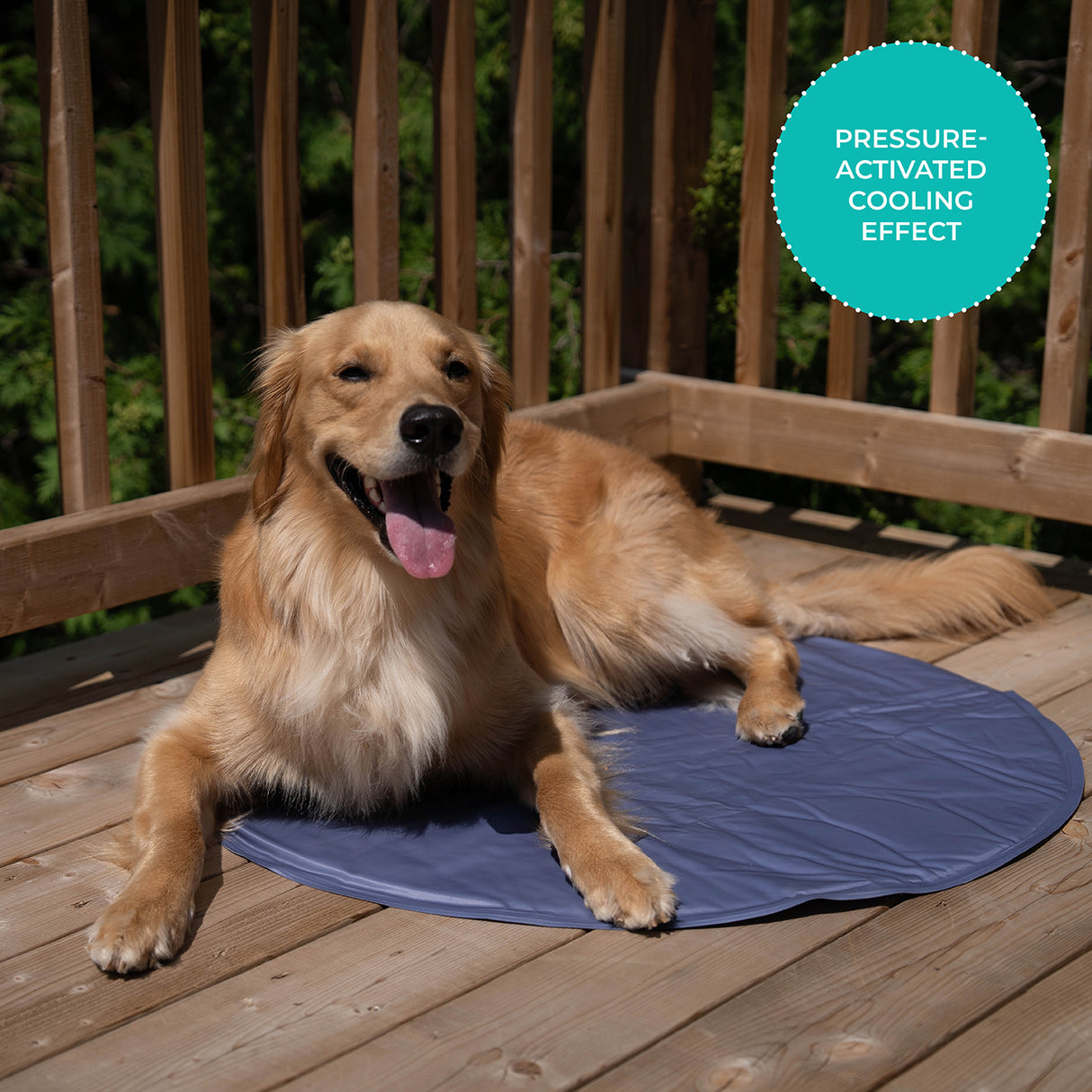 Shedrow K9 Cooling Mat