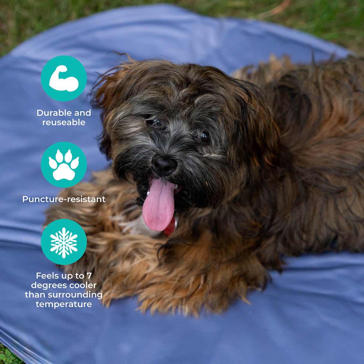 Shedrow K9 Cooling Mat