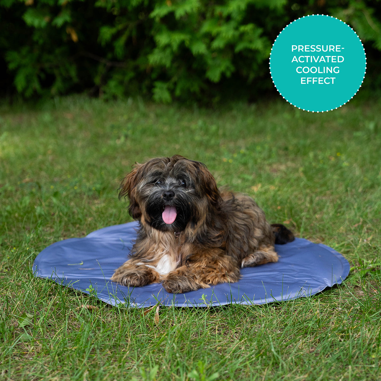 Shedrow K9 Cooling Mat
