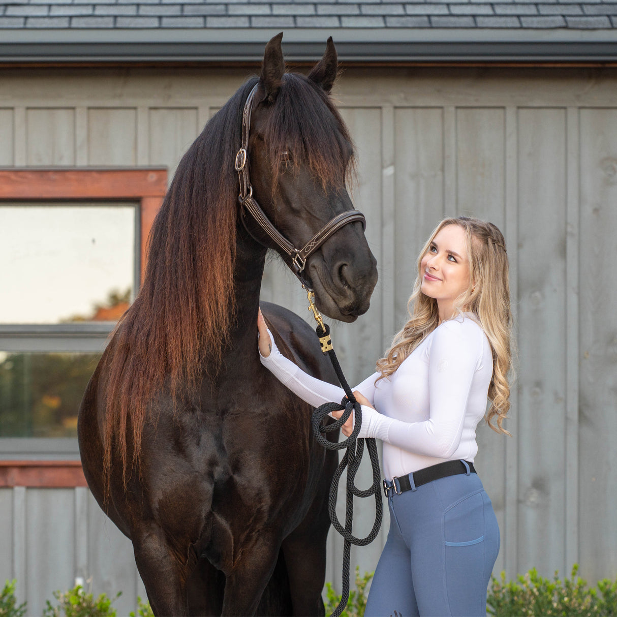 Elation Red Label Sport Euro Seat Breech