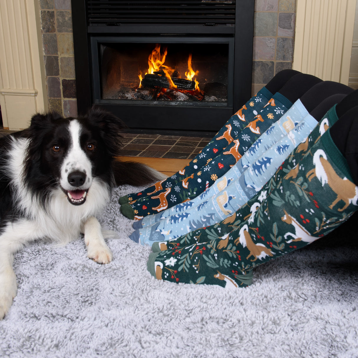 Four White Socks Winterberry Ponies Knee High Socks