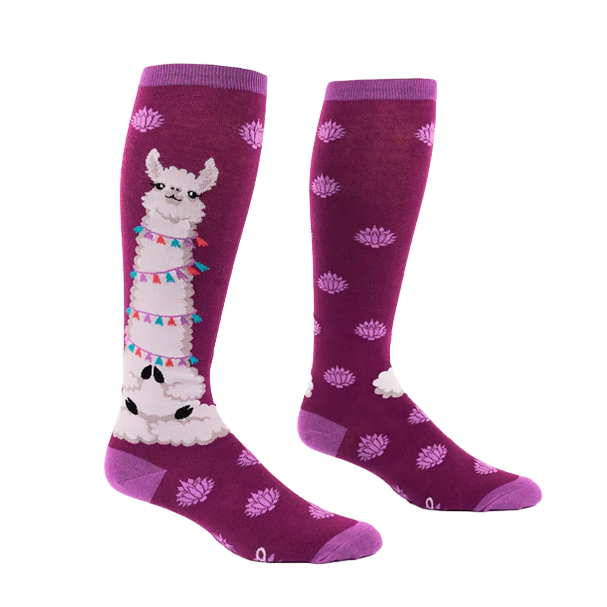 Sock It To Me Llamaste Stretch-It Knee High Socks