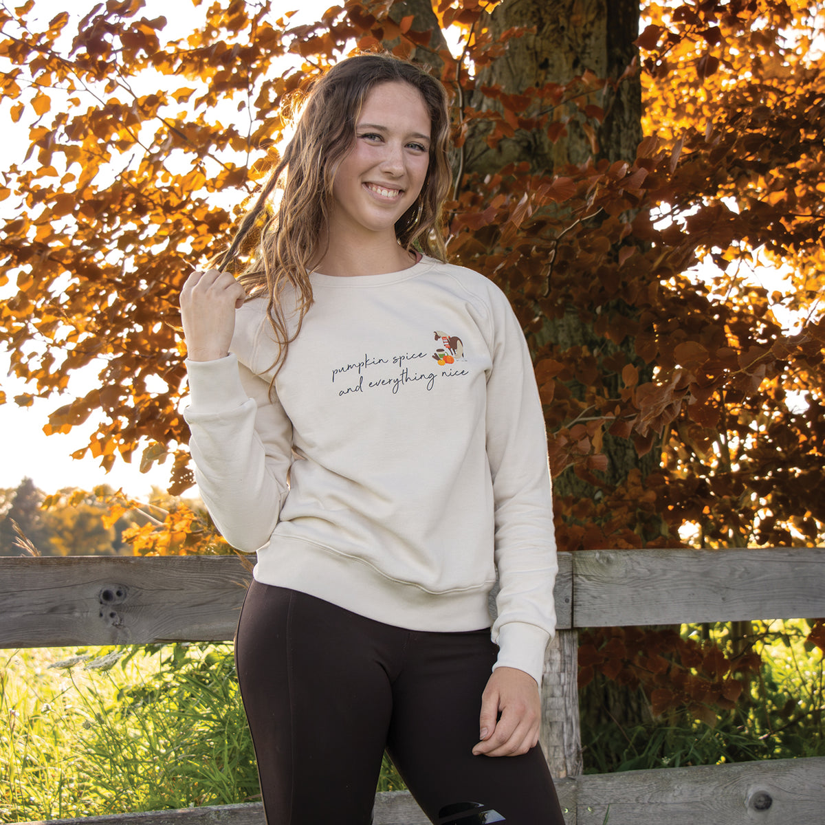 Pumpkin Spice Ponies x Aerion Spice & Everything Nice Sweatshirt