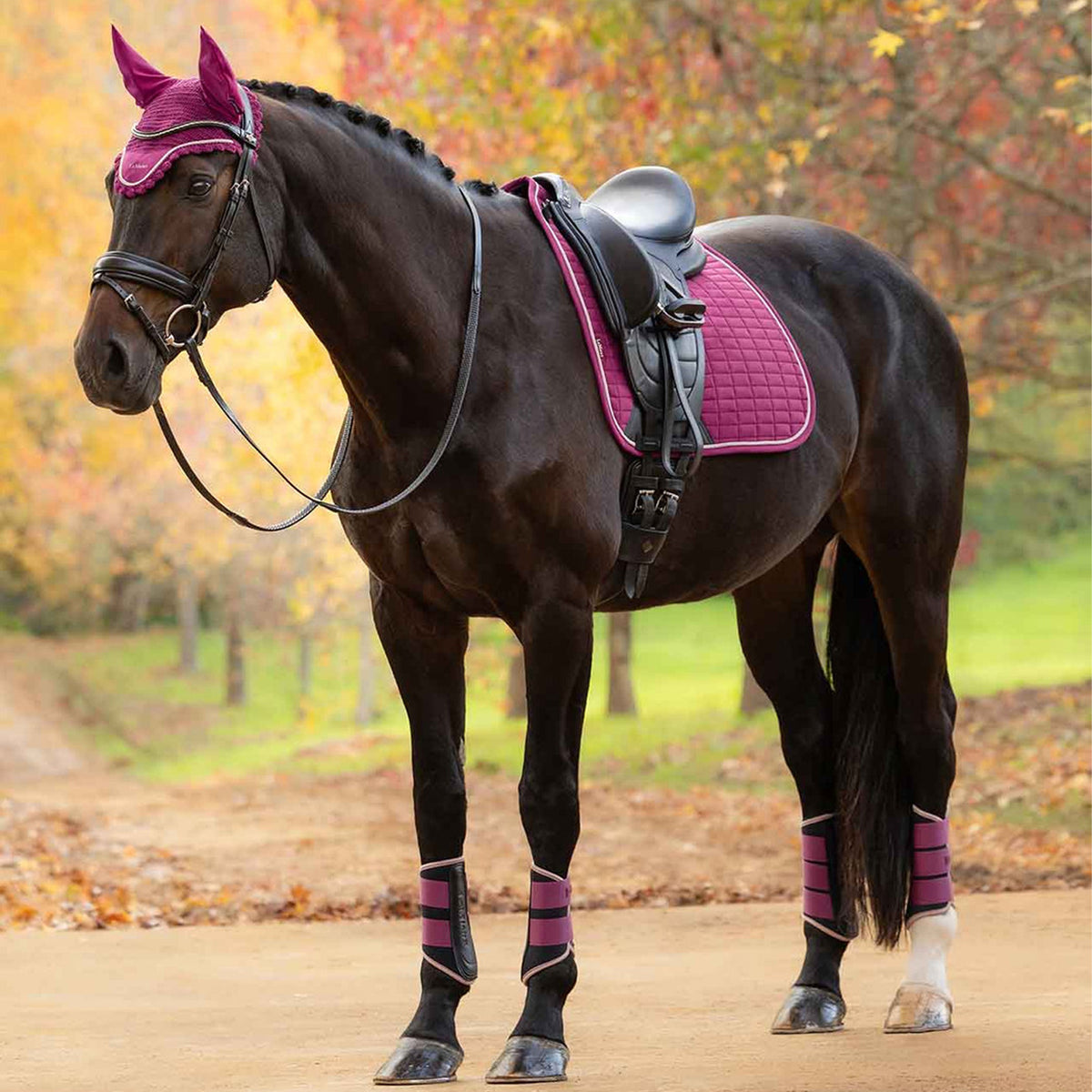 LeMieux Suede Dressage Saddle Pad