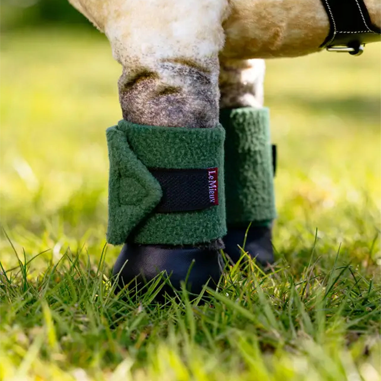 LeMieux Toy Pony Wraps