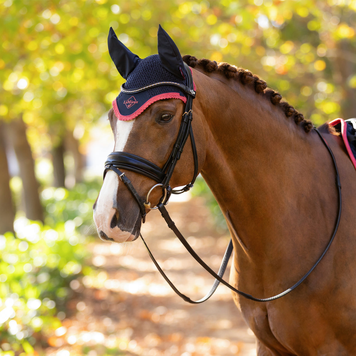 LeMieux Classic Fly Veil
