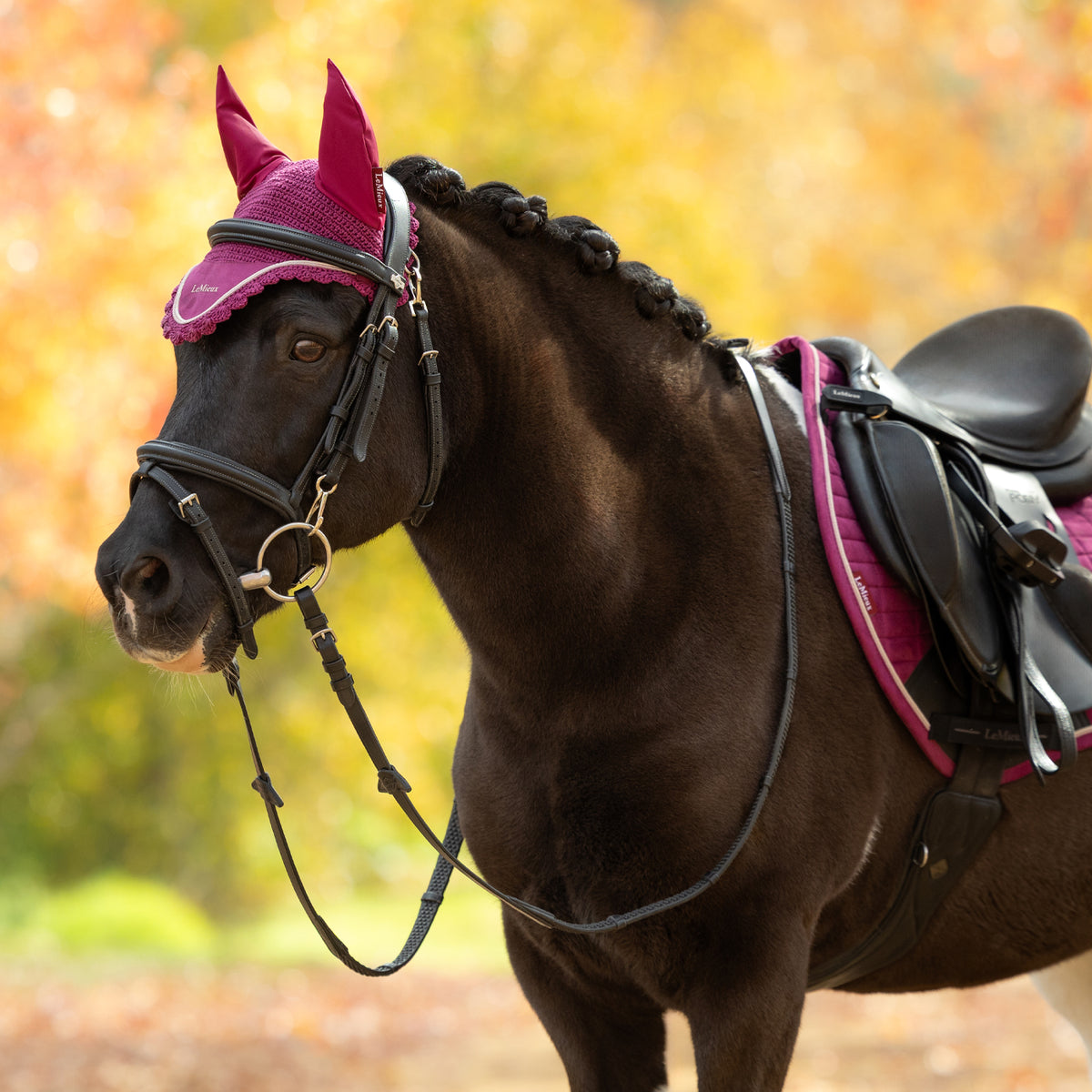 LeMieux Classic Fly Veil