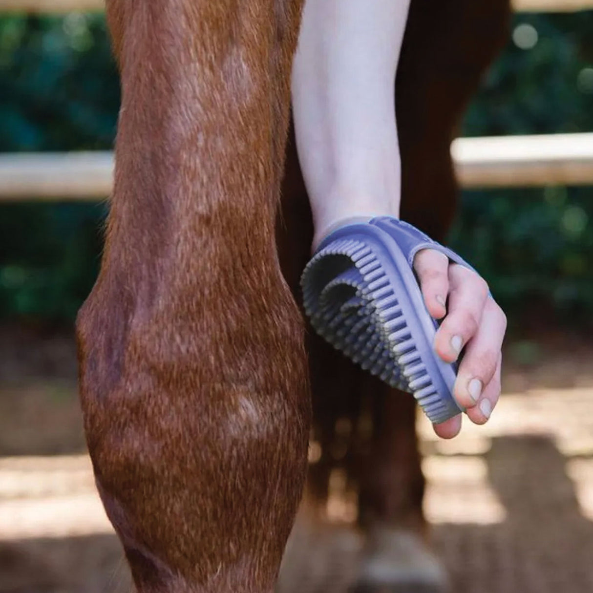 Epona Flexible Glossy Groomer