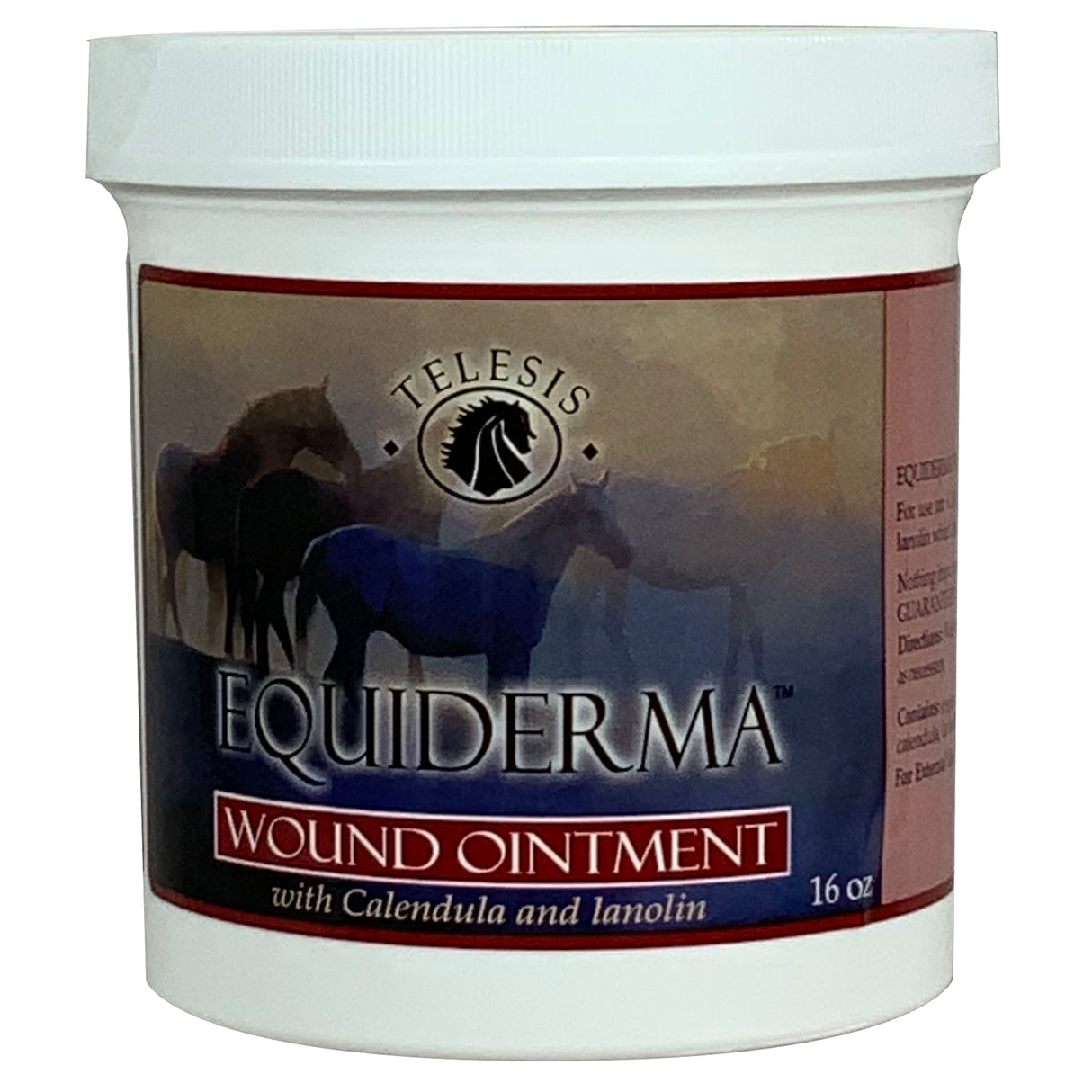 Equiderma Wound Ointment 16 oz.