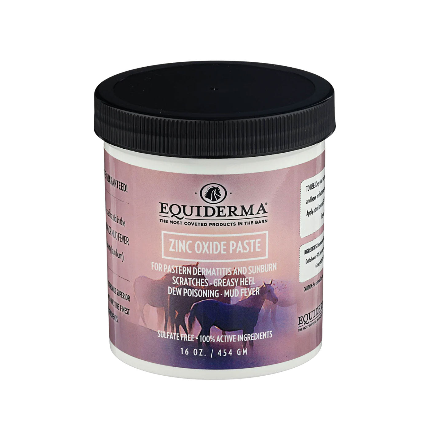 Equiderma Zinc Oxide Paste 16 oz.