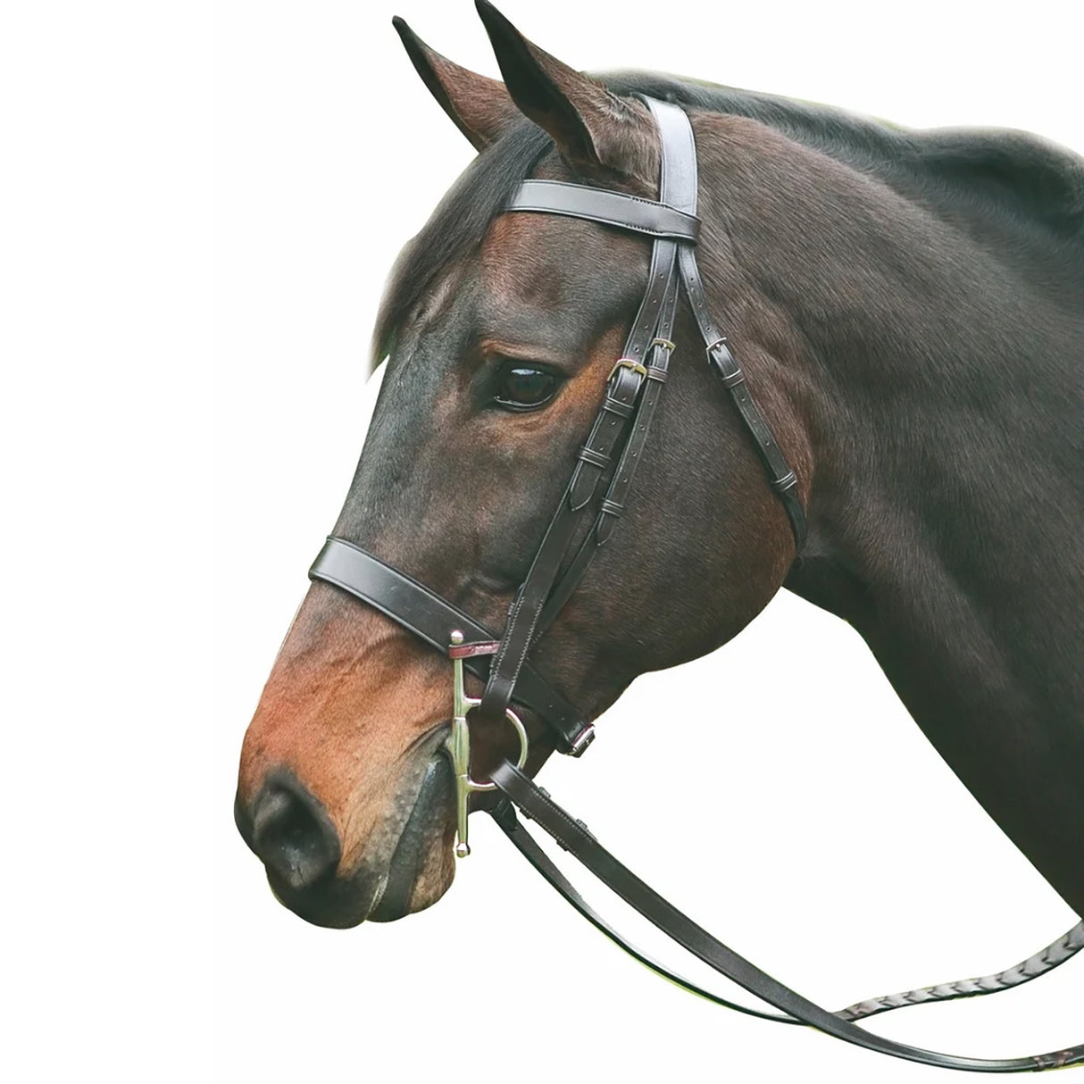 Henri De Rivel Advantage Hunt Bridle