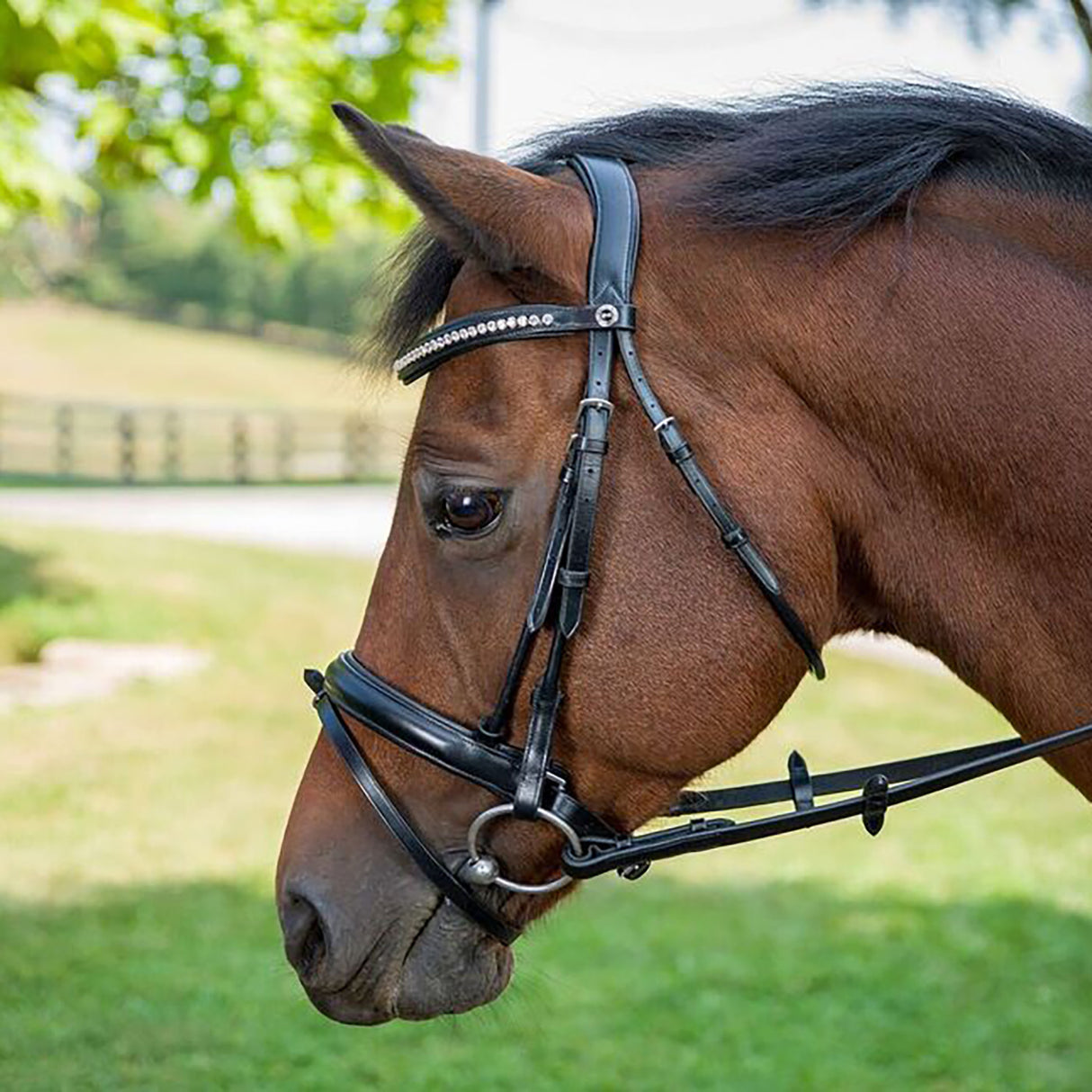 Henri De Rivel Diamonte Dressage Bridle