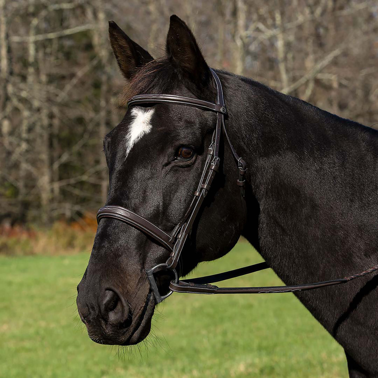 Henri De Rivel Pro Mono Crown Bridle W/ Padded Wide Noseband & Laced Reins