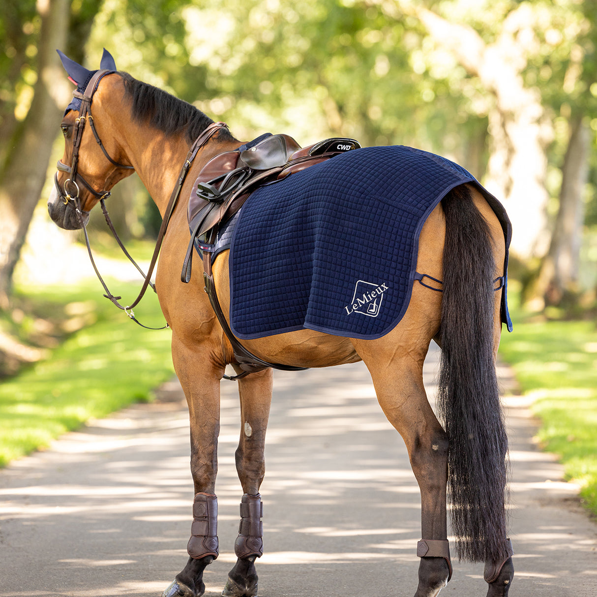 LeMieux Arika Clima-Tek Exercise Sheet