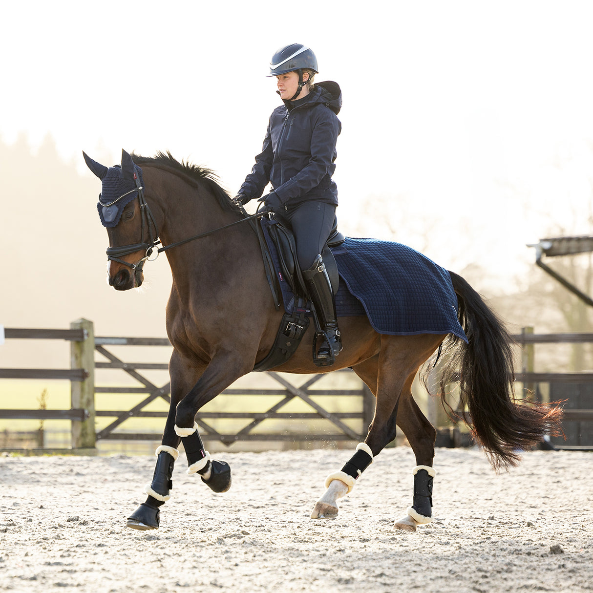 LeMieux Arika Clima-Tek Exercise Sheet