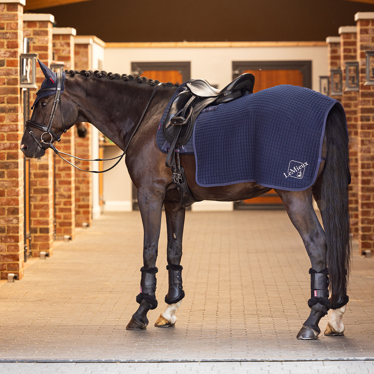 LeMieux Arika Clima-Tek Exercise Sheet