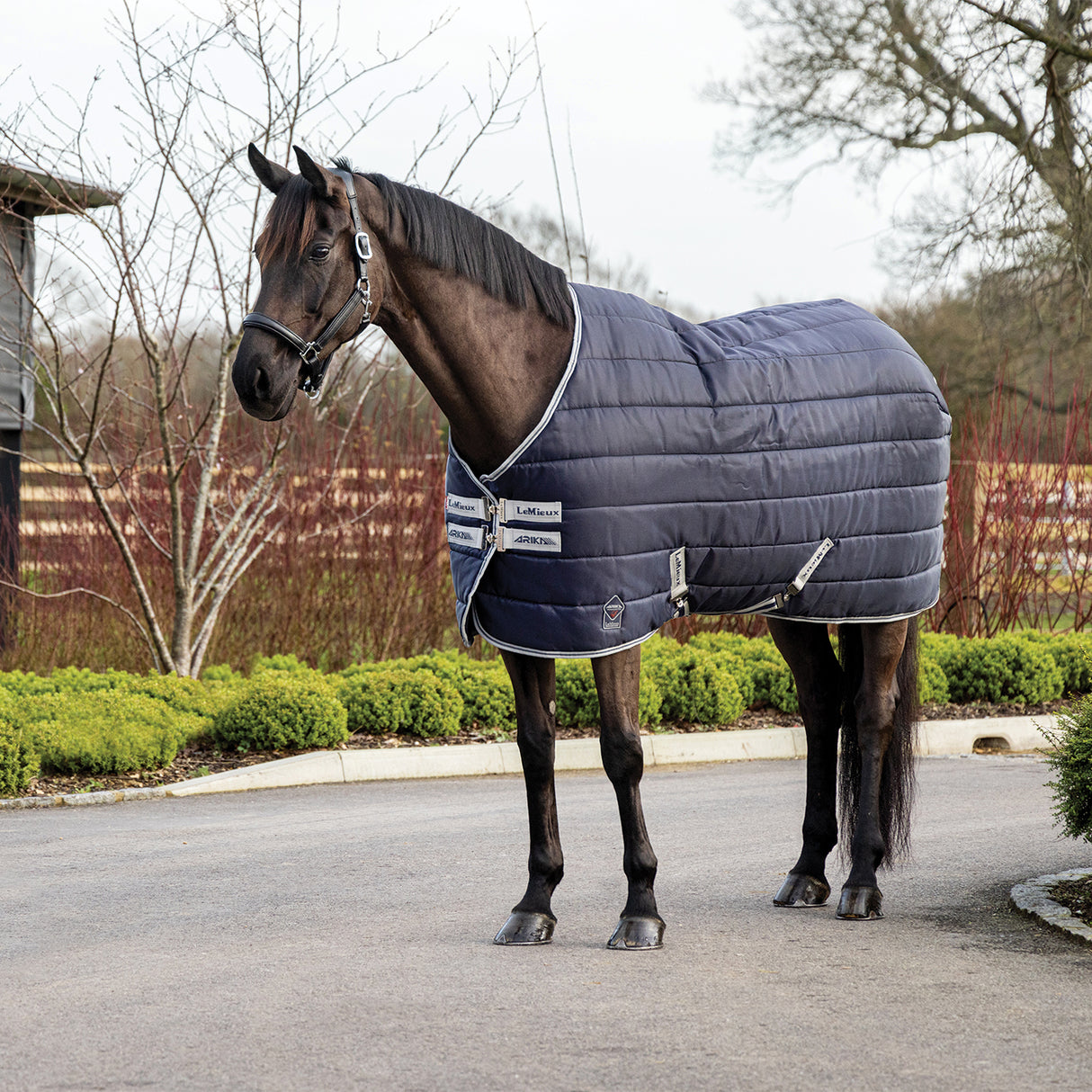 LeMieux Arika Stable-Tek Stable Blanket 100 g