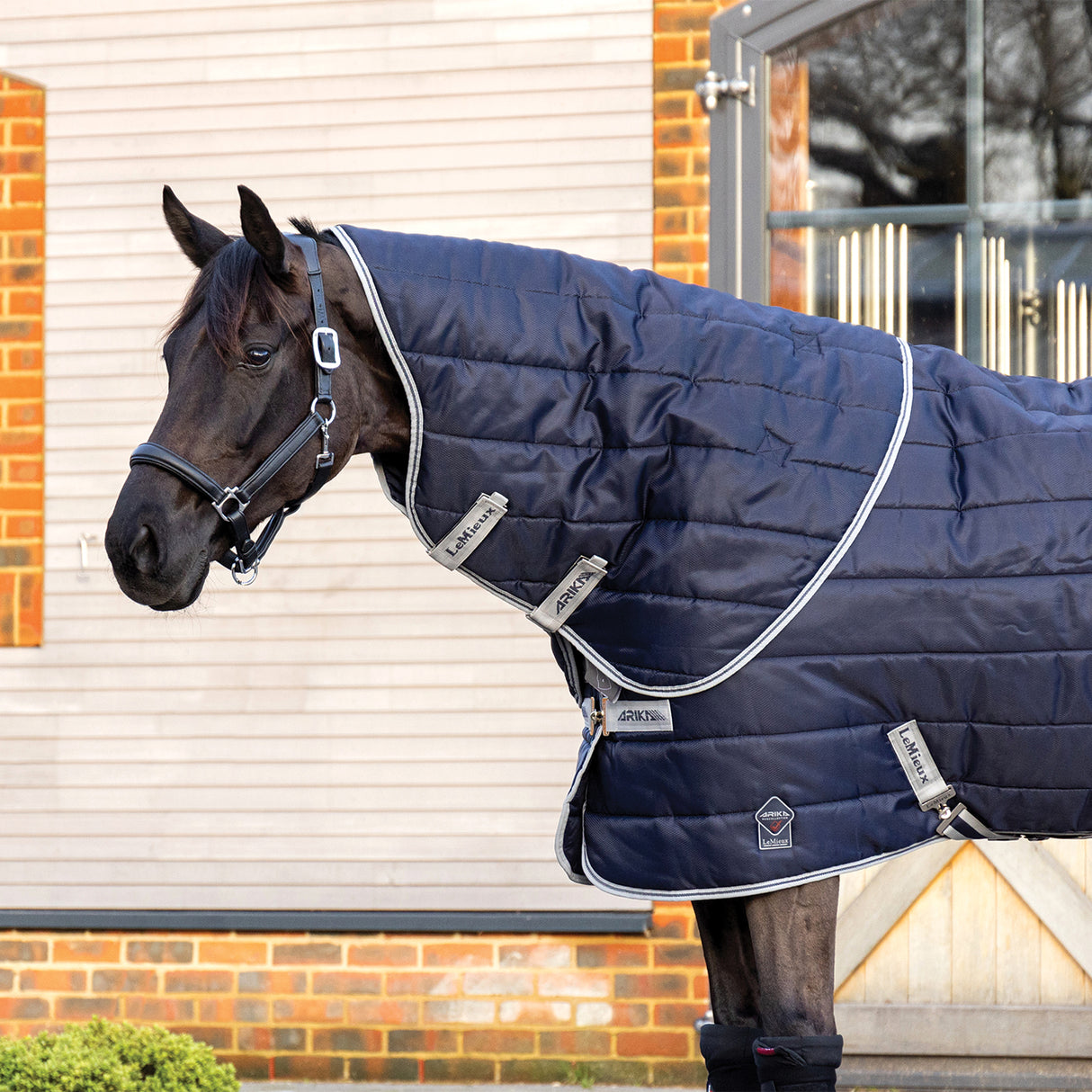 LeMieux Arika Stable-Tek Hood 100 g