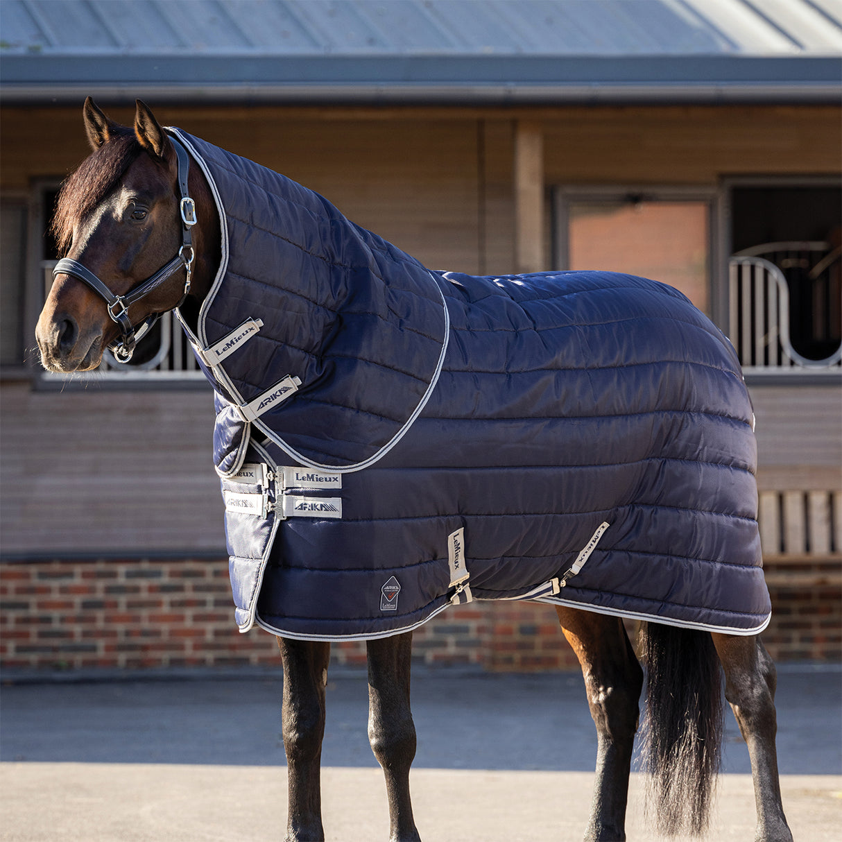 LeMieux Arika Stable-Tek Hood 100 g