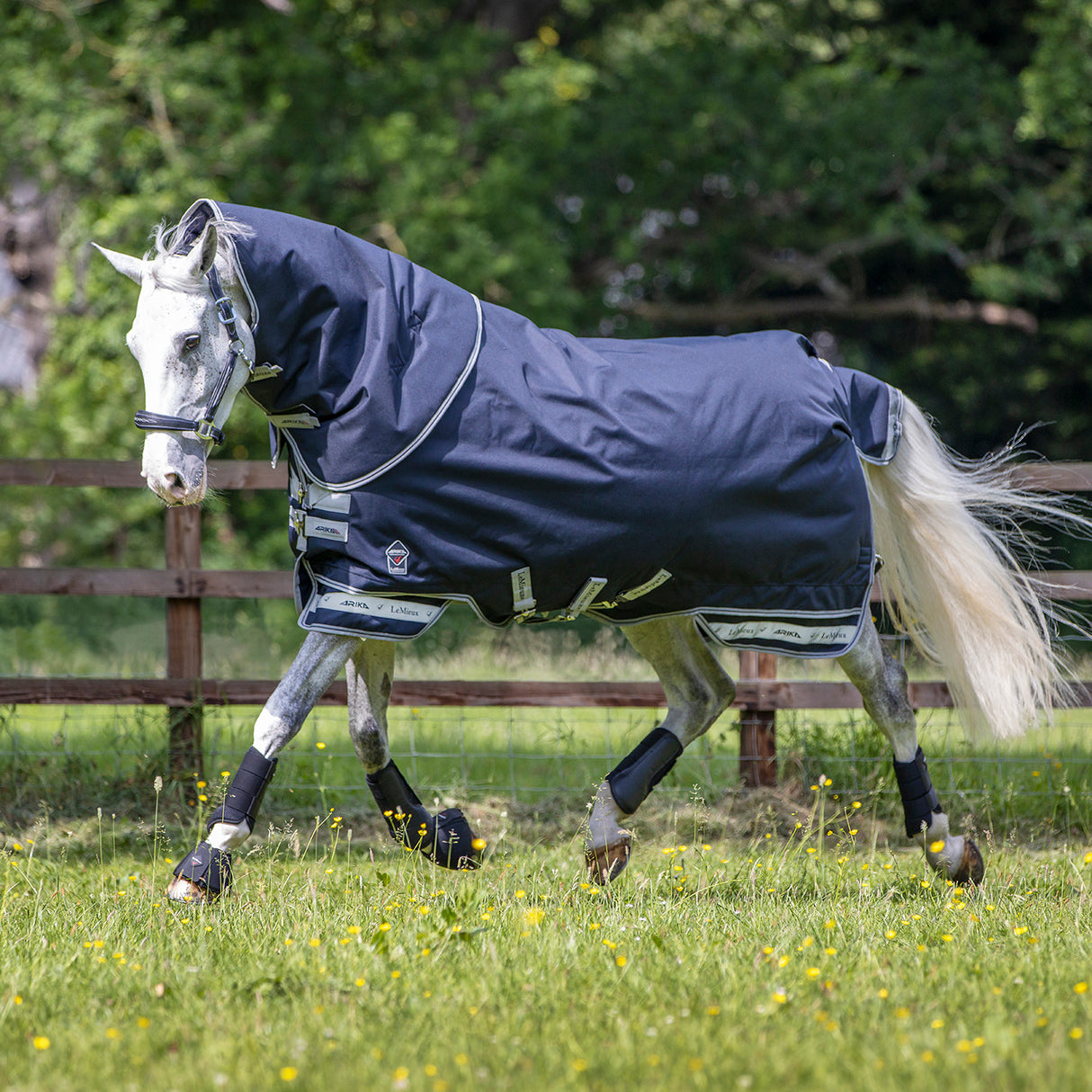 LeMieux Arika Storm-Tek Turnout Blanket 100 g