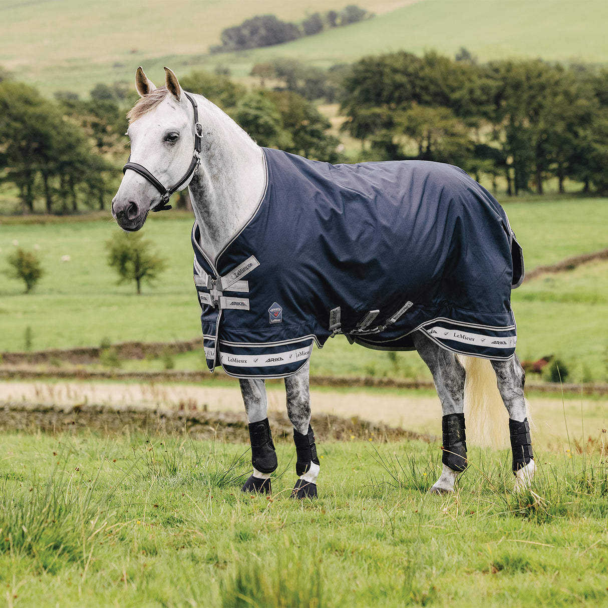 LeMieux Arika Storm-Tek Turnout Blanket 100 g
