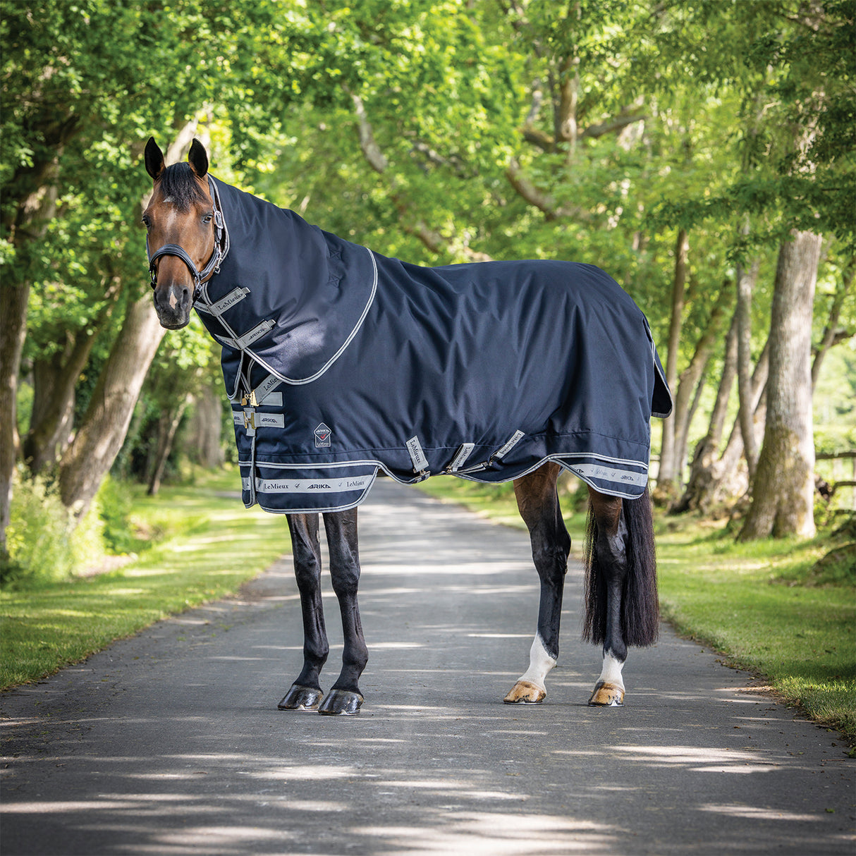LeMieux Arika Storm-Tek Turnout Blanket 100 g