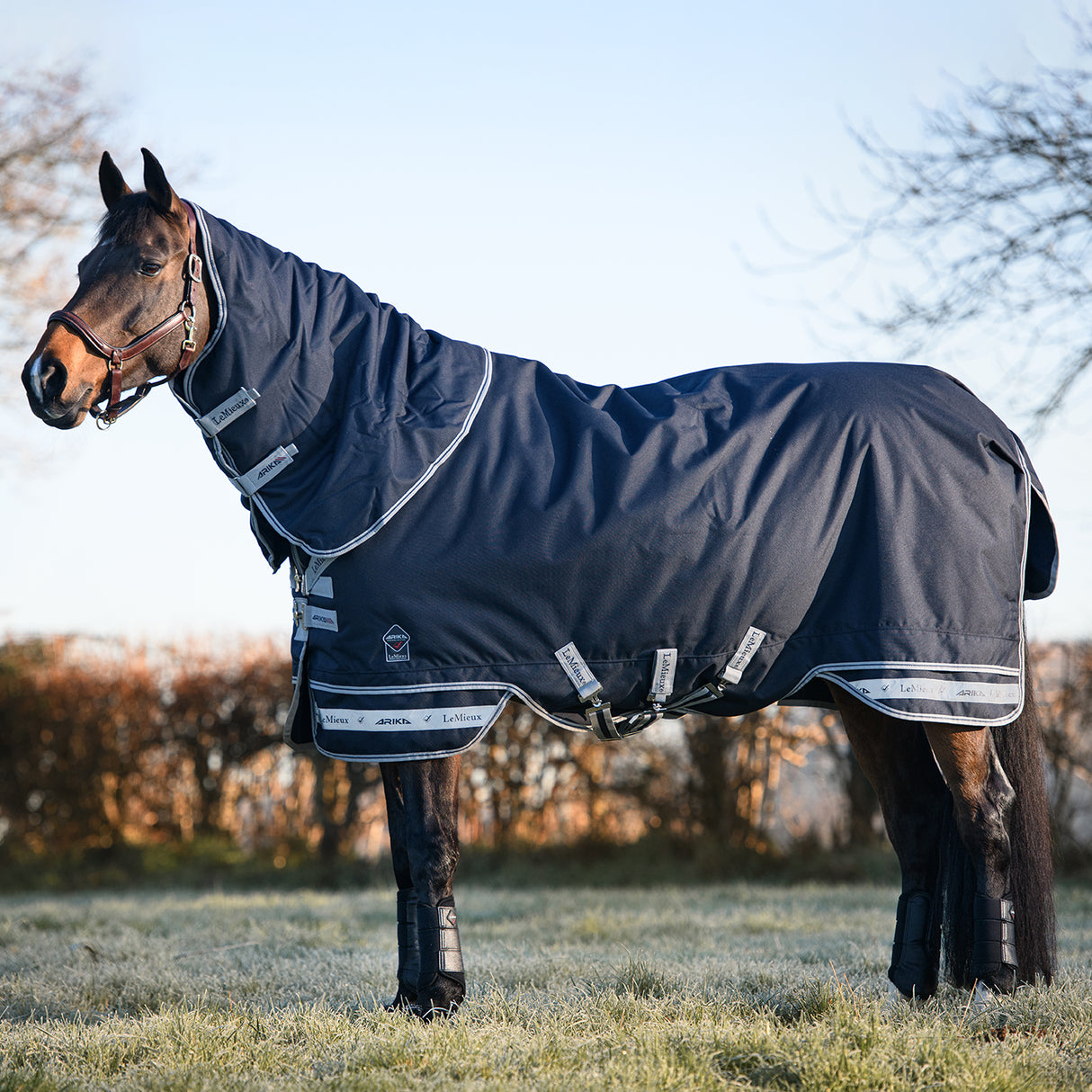 LeMieux Arika Storm-Tek Turnout Blanket 200 g